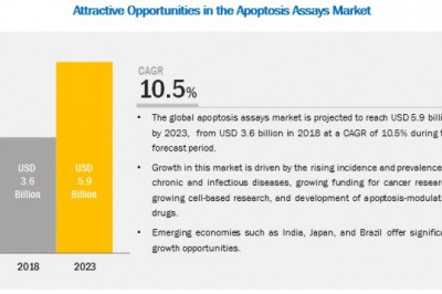 Apoptosis Assays Market Worth USD 5.9 billion by 2023 : Growing Cell-based Research