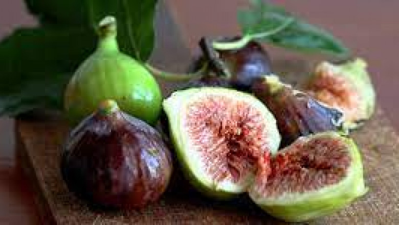 Global Fig Glycolic Extract Market: Segmentation, Industry trends and Development to 2022-2028