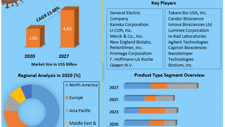 Global Protein Labeling Market Size, Leading Players, Analysis, Sales Revenue and Forecast 2027