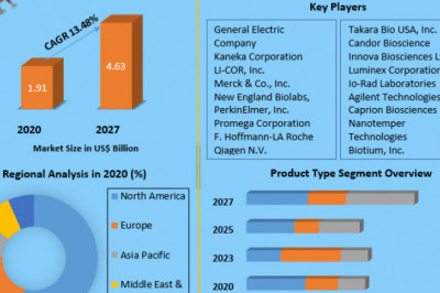 Global Protein Labeling Market Size, Leading Players, Analysis, Sales Revenue and Forecast 2027