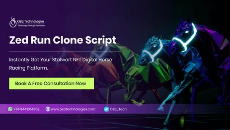 Zed Run Clone Script - NFT Digital Horse Racing platform