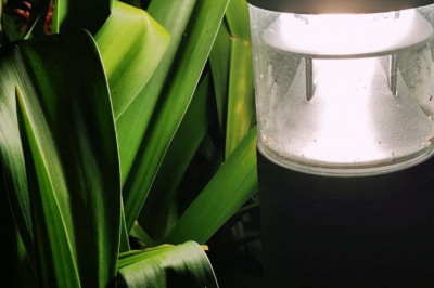 Best Solar Post Lights Reviews In 2021 (Updated)