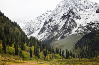 Visiting Jammu & Kashmir In December: What To Do?