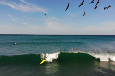 Costa Rica Surf Camp Vacation