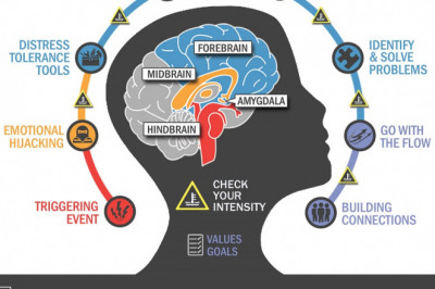 Life Launch Centers Resilience Model now has a new online resilience...