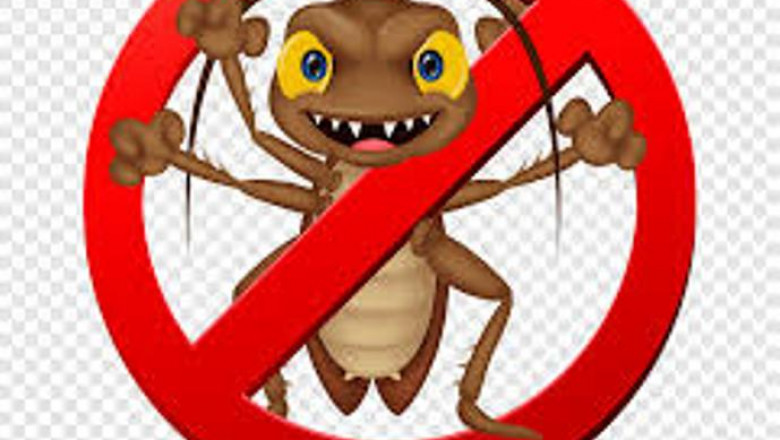 The Value of Environmental Pest Control Solutions