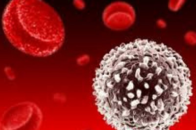 Circulating Tumor Cells Market Challenges, Leading Key Players Review, Demand and Upcoming Trend by Forecast to 2029