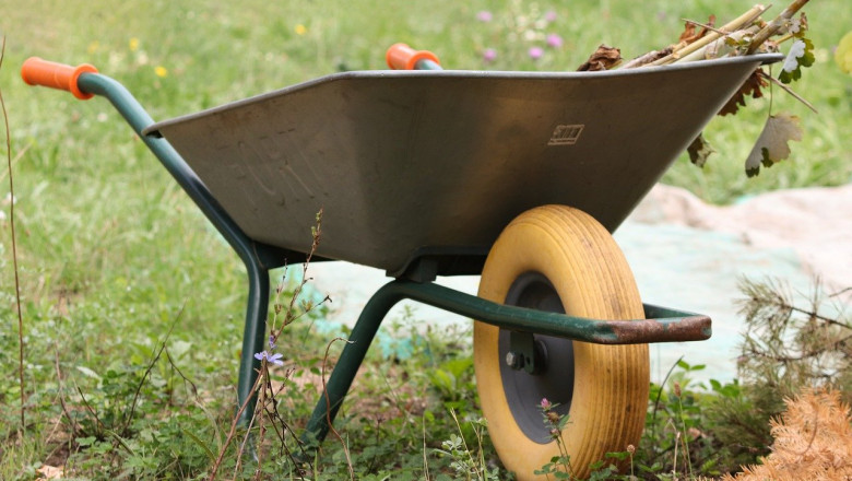 Garden Clearance