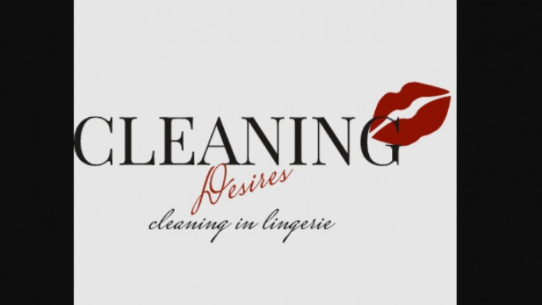 Hiring a Nude Maid Service