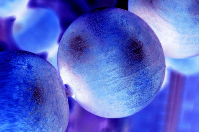 Industrial Enzymes Market Statistics, By Application, Production, Revenue & Forecast To 2022-2030