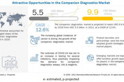 Companion Diagnostics Market Worth USD 9.9 billion by 2026 : Growing Significance in Drug Development