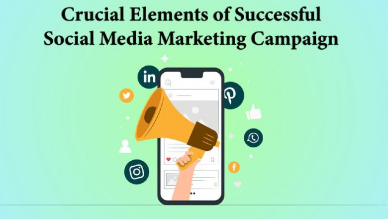 Elements of successful social media marketing campaign