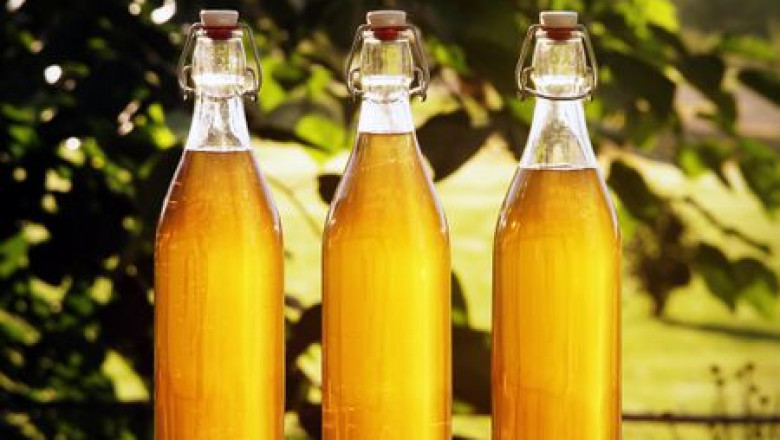 Honey Wine Market Overview, Industry Top Manufactures, Size, Growth Rate