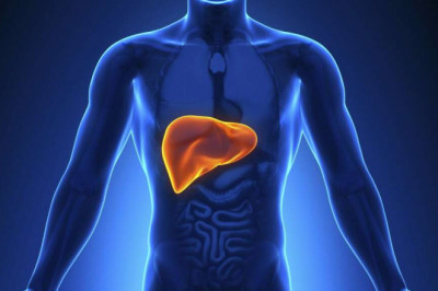Liver Cancer Therapeutics Include Several Types Of Treatments Such As Chemotherapy, Radiation, Therapy And Targeted Therapy