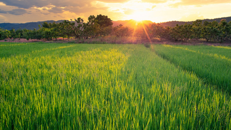 Top 7 Banks Providing Easy Loans To Farmers