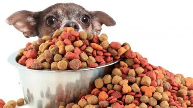 Pet Food Market  worldwide market size and share 2022-2028| Research Informatic
