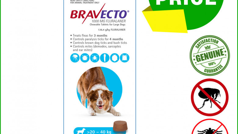 BRAVECTO 2 Chews for 20 to 40 Kg Dogs 3 months Tick and Flea Protection