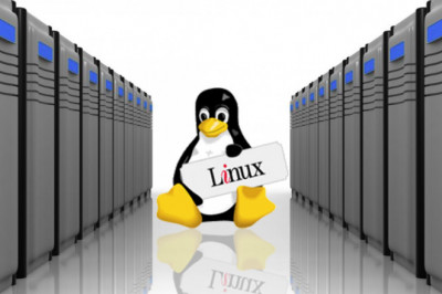 Finding stowed away bits of knowledge on Linux Hosting