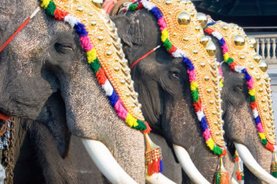 Onam celebrations across Kerala