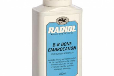 Radiol B-R Bone For Horses 250 ML | DiscountPetCare