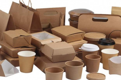 Biodegradable Packaging Market Overview