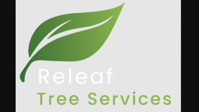 Things to consider When Trying to find Expert Tree Surgery