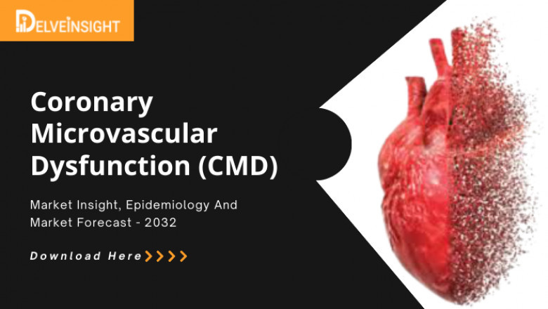 What is the Coronary Microvascular Dysfunction Market & Epidemiology?