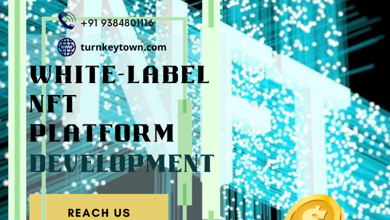 Gain Reputable Visibility With White-Label NFT Marketplace!