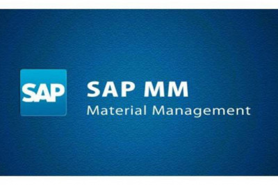 Beginner's Guide to SAP's MM Module