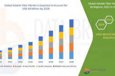 Soluble Fiber Market Growth New Business Opportunities and Challenges, Upcoming Trends, Future Planning & Forecast to 2028