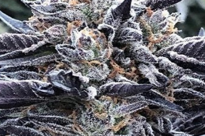 Best Clone Lave Cake in Los Angeles