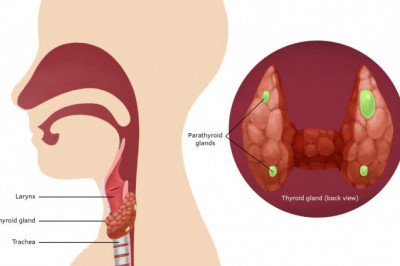 Secondary Hyperparathyroidism Treatment Market Analysis Exclusive Report: Market Trends, Applications and Forecast to 2028