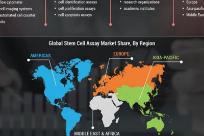 Stem Cell Assay Market Size, Top Key players Analysis, Future Business Insights and Statistics Analysis Report Forecasts 2022-2028