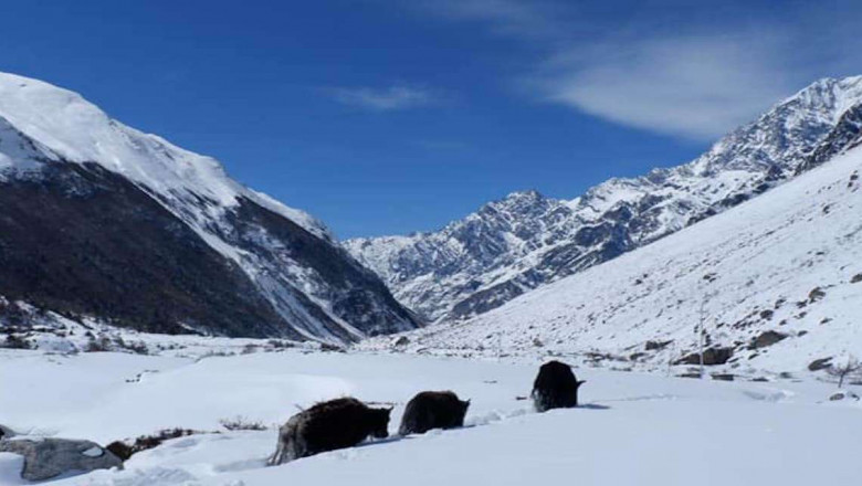 Manaslu Circuit Trek VS Annapurna Circuit Trek