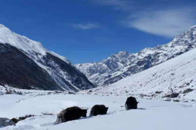 Manaslu Circuit Trek VS Annapurna Circuit Trek