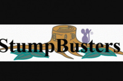 Ways to Take away a Tree Stump