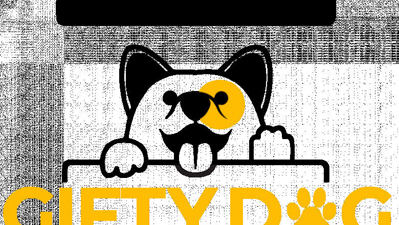 Buy Best New Style Dog Collars and more pet accessories in the USA at giftydogstore | Dog Collar Personalized