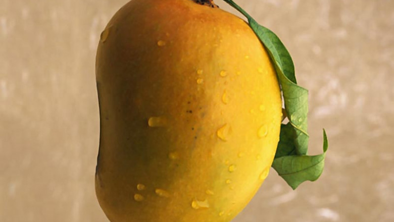 Origin Of Kesar Mango