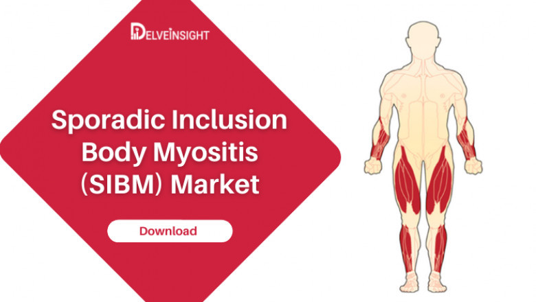 Sporadic Inclusion Body Myositis Market Dynamics, Drugs, and Clinical Trials