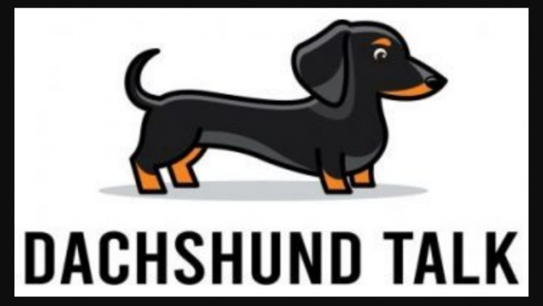 Dachshund FAQs