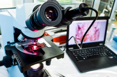 Digital Pathology Market Size, Share, Covid 19 Impact, Competition, Trends and Growth Opportunities 2019 - 2027