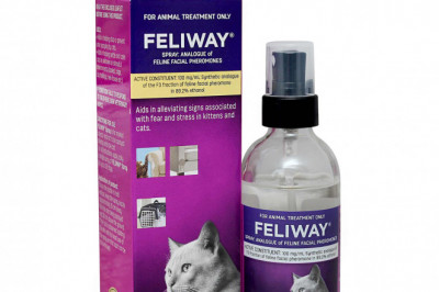 Feliway Stress and Fear 60 mL Spray for Kittens and Cats