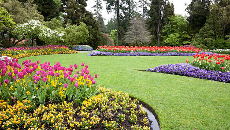 Garden More