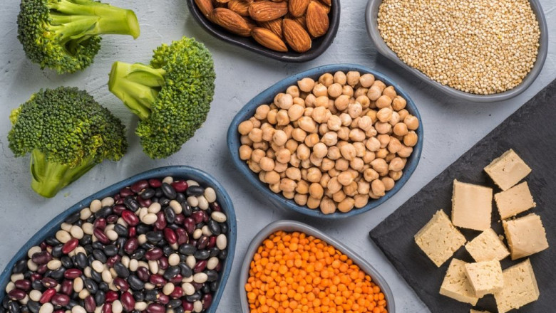 meat substitutes Challenges, Size, Growth, Key Vendors, Drivers, and Trends by Forecast to 2028
