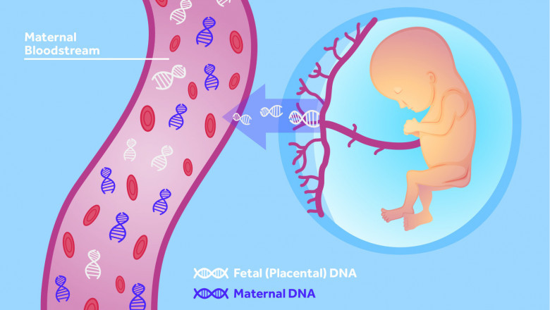 Non-Invasive Prenatal Testing (NIPT) Market Challenges, Size, Growth, Key Vendors, Drivers, and Trends by Forecast to 2028