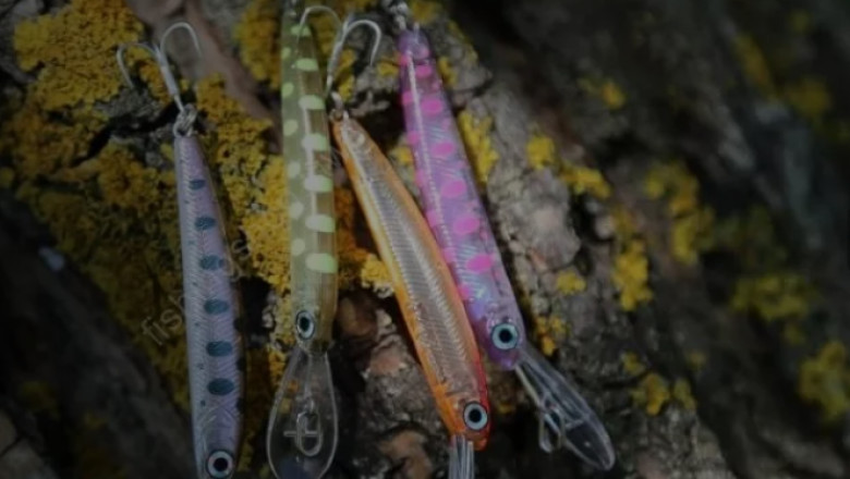 Best place to buy fishing equipment