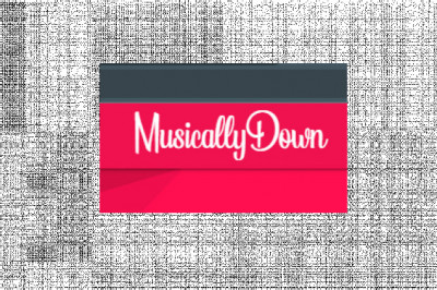 Tiktok Downloader
