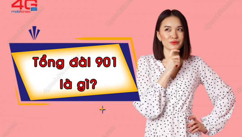 901 la tong dai gi