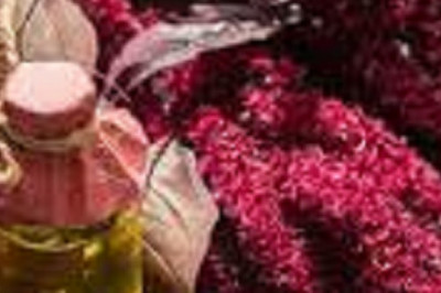 Amaranth Oil Market Size, Research, Trends, Key Players, Overview Forecast By 2028 | FLAVEX Naturextrakte GmbH, Sunsoil Pvt. Ltd