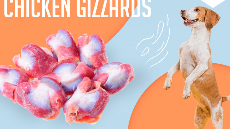 Dog Food Delivery Service | DMV Raw Feeders